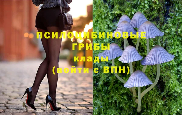 мдпв Абдулино